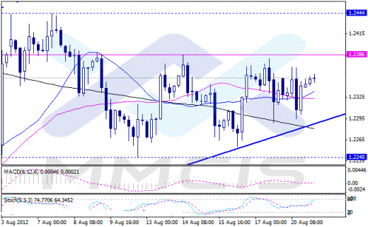Форекс Аналитика по парам EUR/USD, GBP/USD, AUD/USD, USD/JPY 21.08.2012