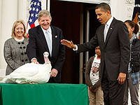 forex-online-23112012.jpg forex-online-23112012.jpg