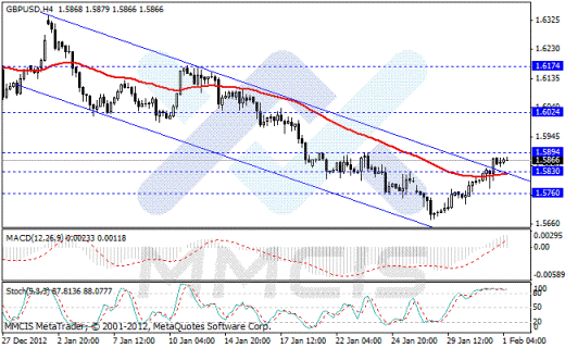 Forex Аналитика по парам EUR/USD, GBP/USD, AUD/USD, USD/JPY 01.02.2013