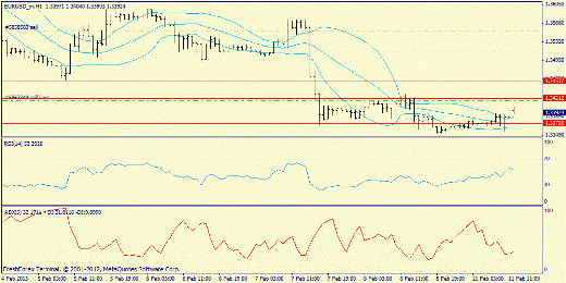 Forex определение потенциала тренда EURUSD 11.02.2013