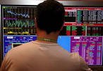 forex_terra.jpg forex_terra.jpg