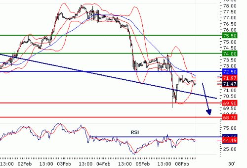 CRUDEOIL20100208080955.GIF