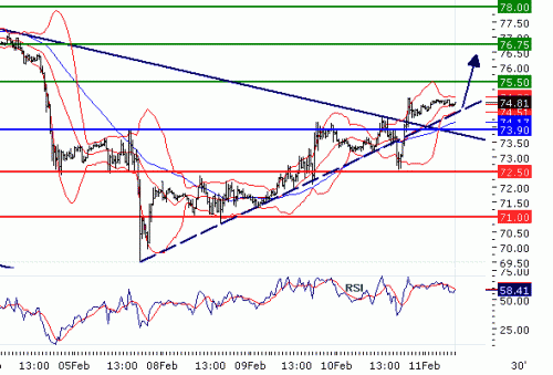 CRUDEOIL20100211.GIF