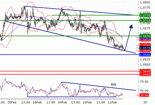 USDCAD20100211.GIF