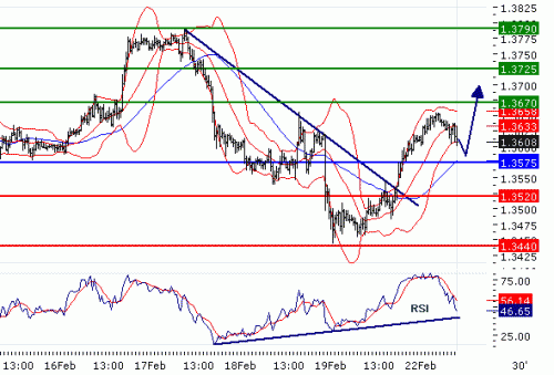 EURUSD20100222.GIF