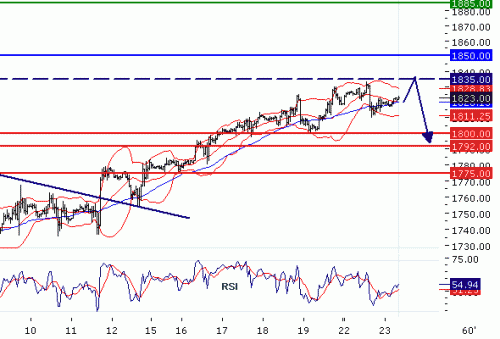 NASDAQ10020100223.GIF