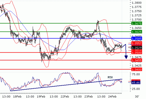 EURUSD20100224.GIF