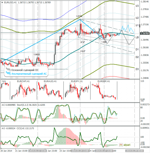forex-eurusd-28012014.png