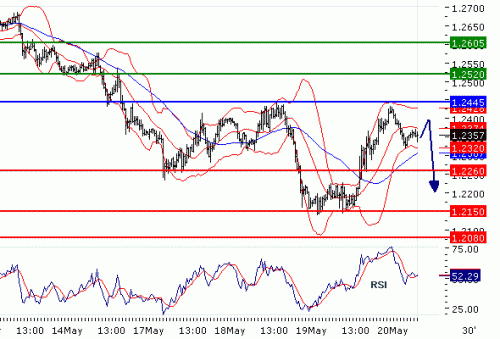 EURUSD20100520.GIF