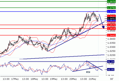 USDCAD20100521.GIF