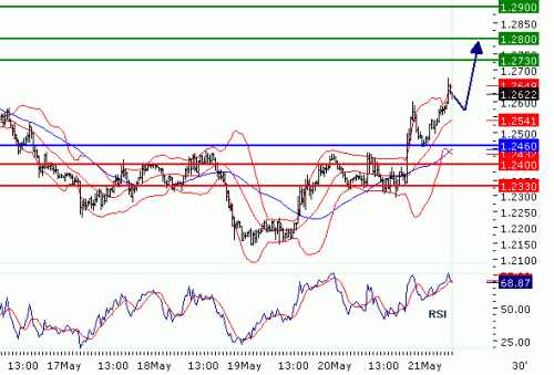 EURUSD20100521.GIF
