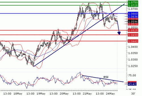 USDCAD20100524.GIF