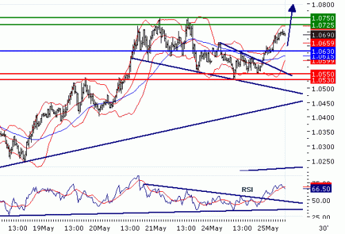 USDCAD20100525.GIF