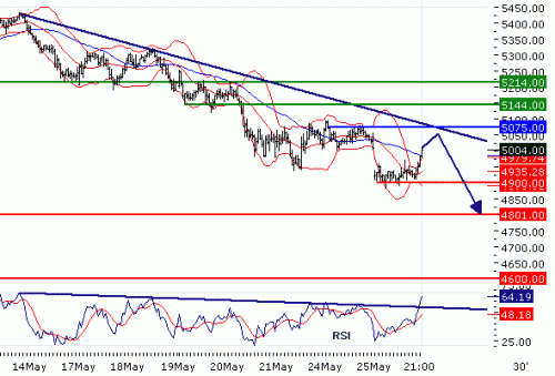 FTSE10020100526.GIF