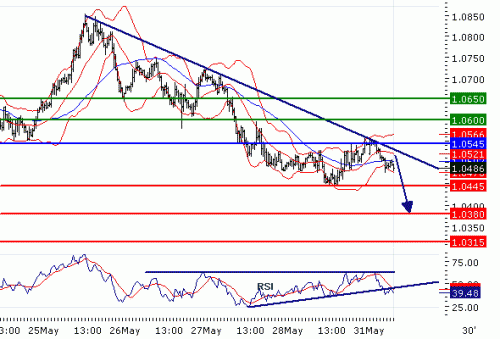 USDCAD20100531.GIF