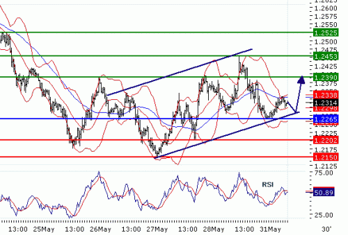 EURUSD20100531.GIF