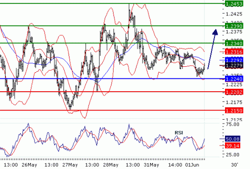 EURUSD20100601.GIF