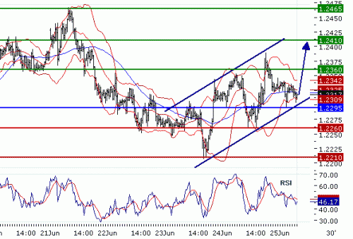 EURUSD20100625.GIF