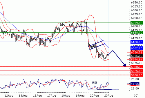 DAX20100823.GIF