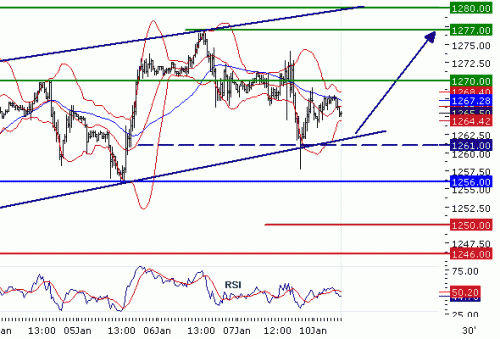 SP50020110110.GIF